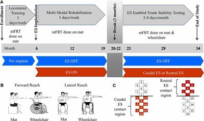 Epidural Electrical Stimulation of the Lumbosacral Spinal Cord Improves Trunk Stability During Seated Reaching in Two Humans With Severe Thoracic Spinal Cord Injury